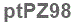 The text to enter in the texbox below is: ptPZ98
