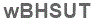 The text to enter in the texbox below is: wBHSUT